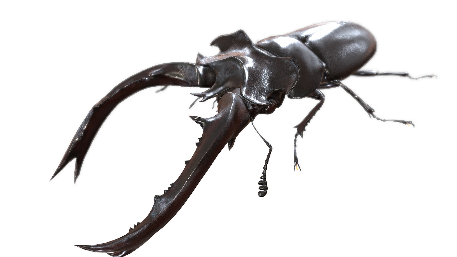 3D model Lucanus formosanus - This is a 3D model of the Lucanus formosanus. The 3D model is about a close up of a black beetle.