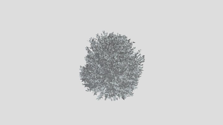 Shurb Buxtussempervirens Boxwood – Gratis 3D-model STL