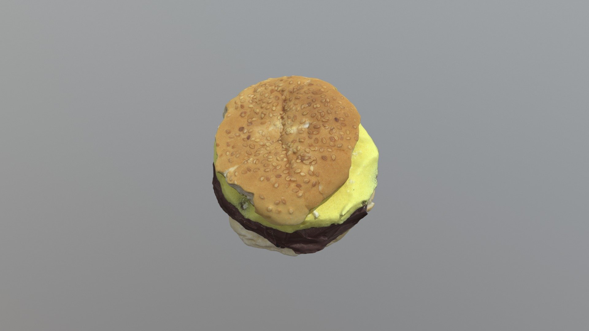 Burger-Agisoft