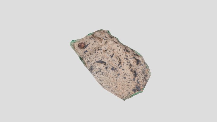 Anchisauripus 3D Model