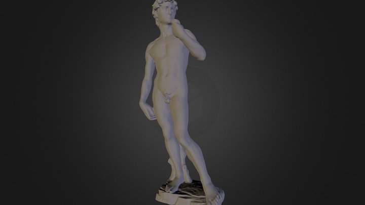 David by Michelangelo 3D Model
