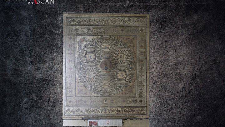 Mosaïque du paon 3D Model