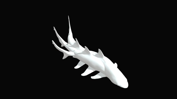 Shark Movement (multiple body, 1 head, v2) 3D Model