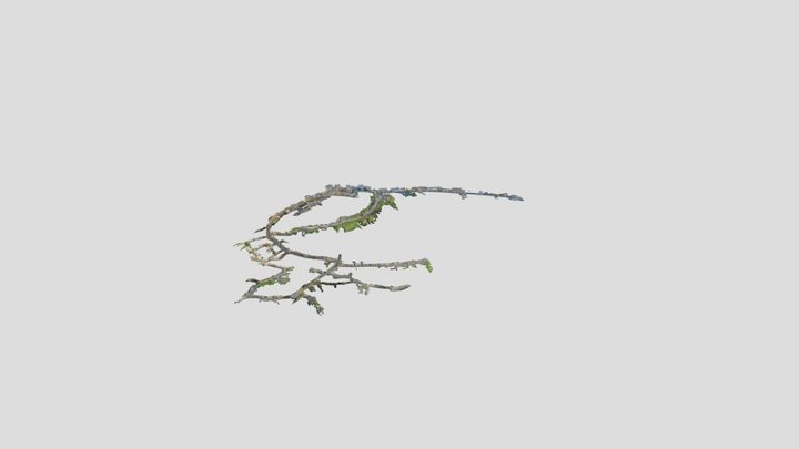 Motovun2 3D Model