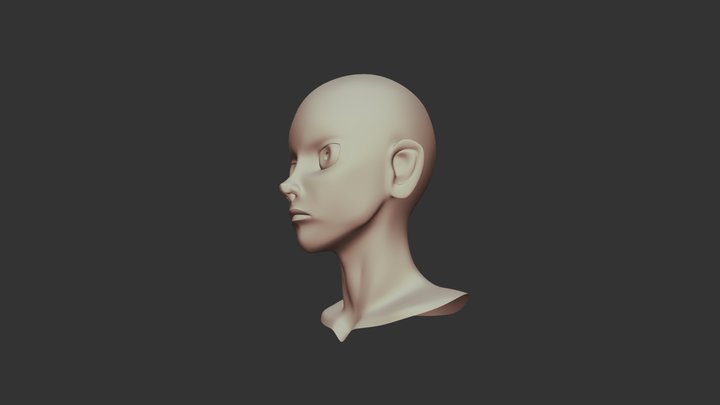 Cartoon Head 3D Model