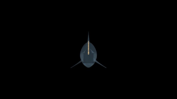 Carcharodon Megalodon - Spine 3D Model