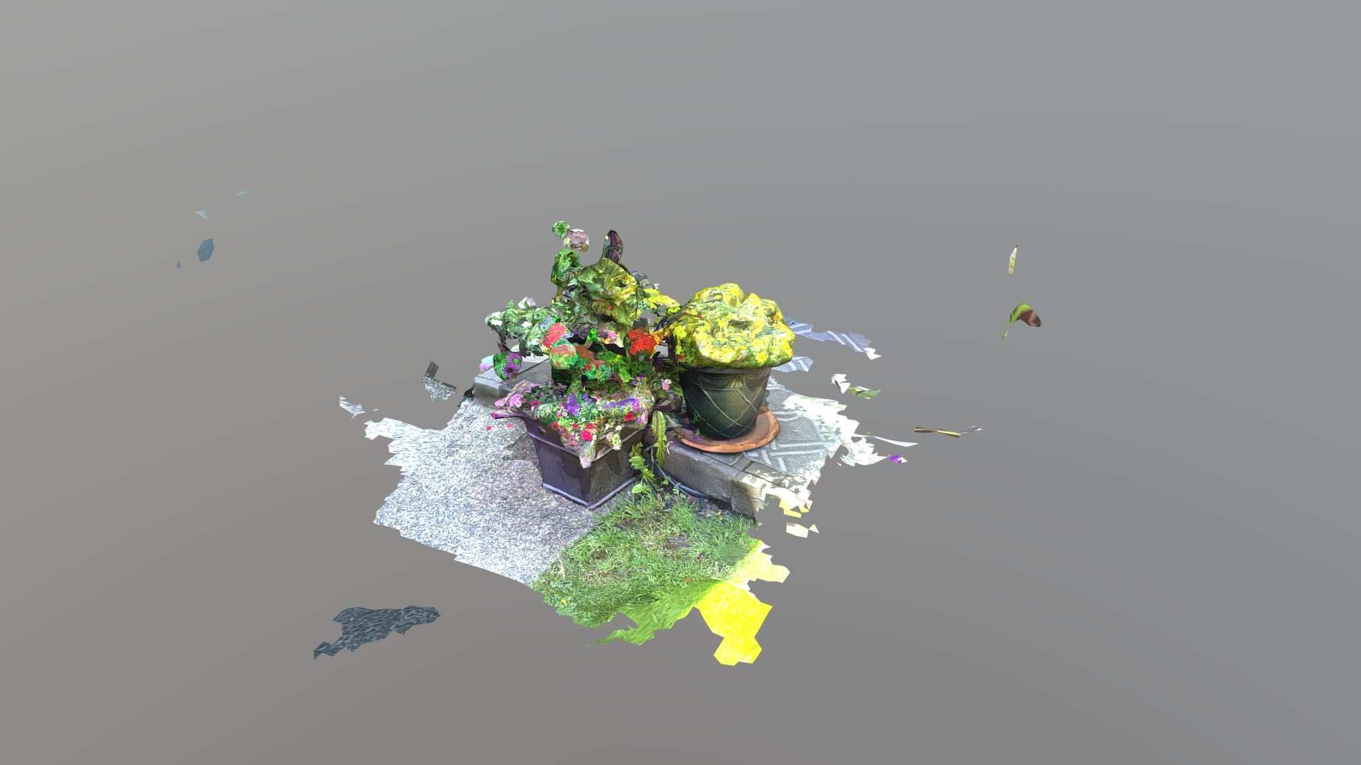 Backyard Plants