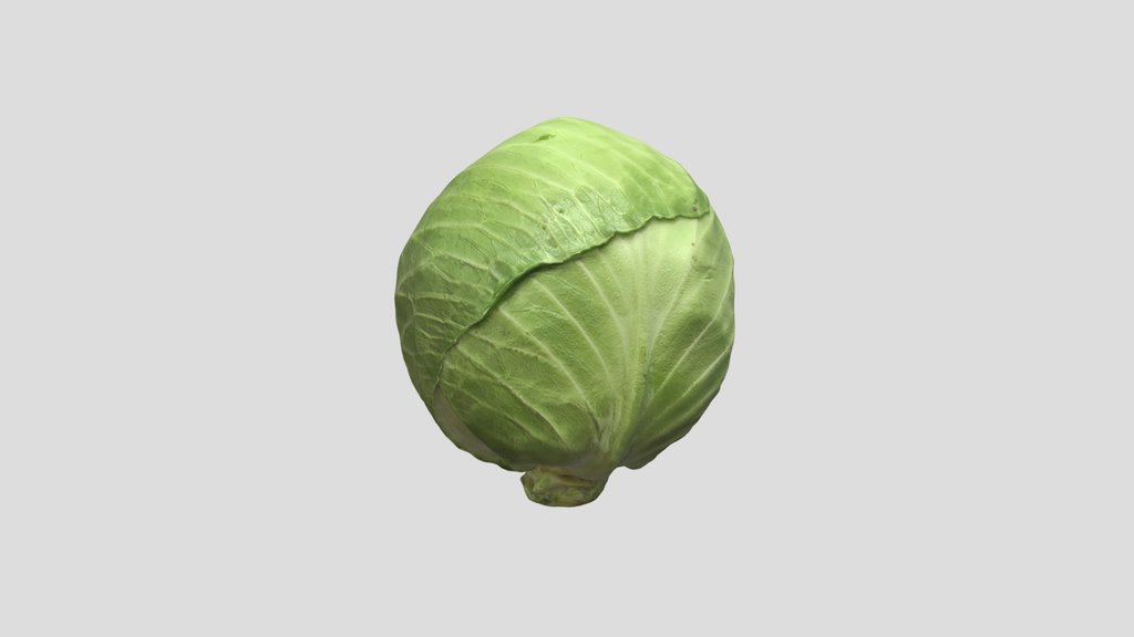 Cabbage