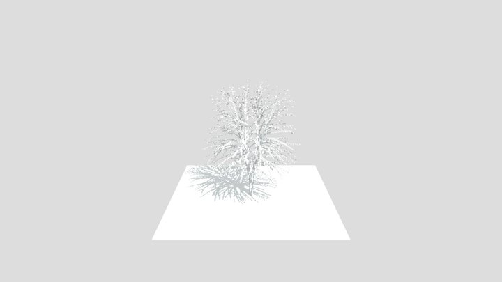3d modelling pohon 3D Model