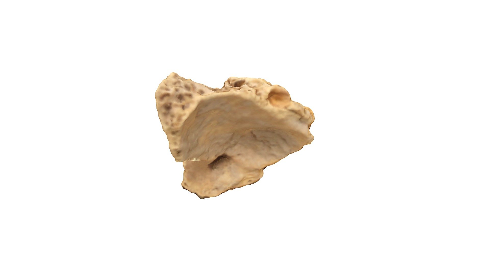 PNRP B_5_35_137.3
