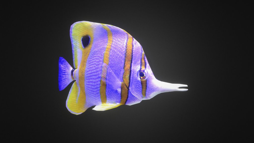 Small fish