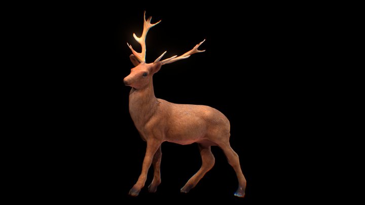 Deer - Photogrammetry 3D Model
