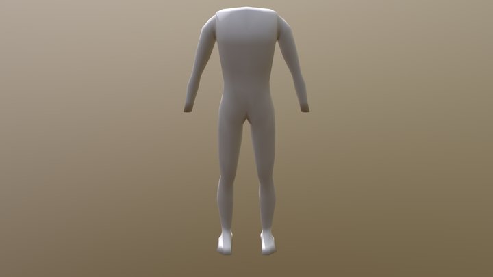 Humanoid Body 3D Model