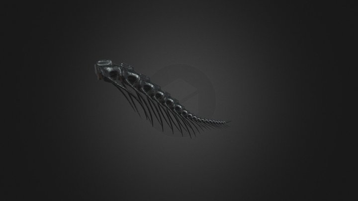 Snake Bone Tail