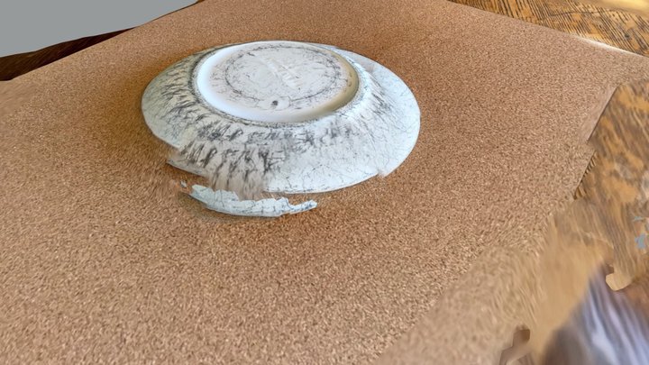 Back of saucer 3D Model