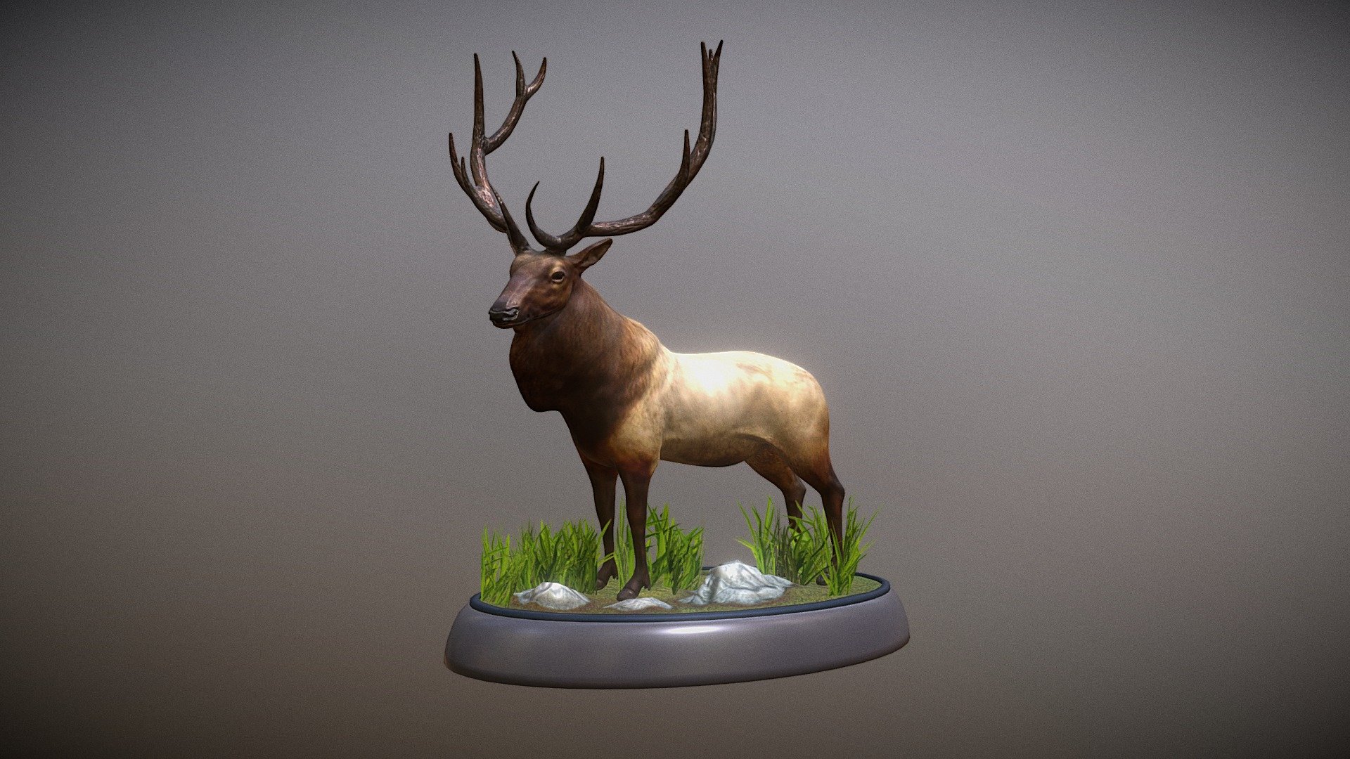 Elk - 3D model by jeremiaz [8f64267] - Sketchfab