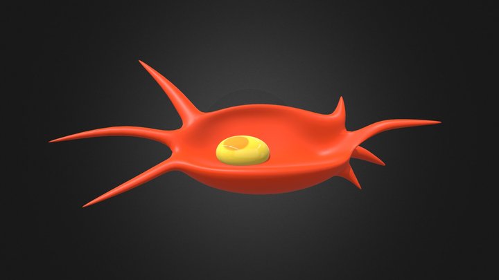 Fibroblast 3D Model