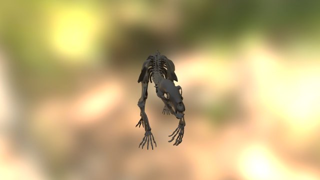 Griz Compress 3D Model