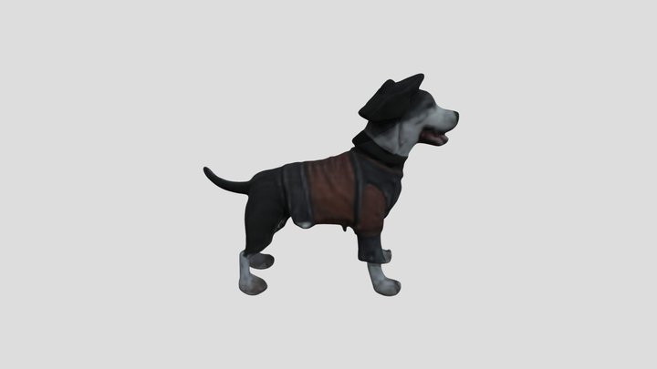 DOG IN A COSTUME 3D Model