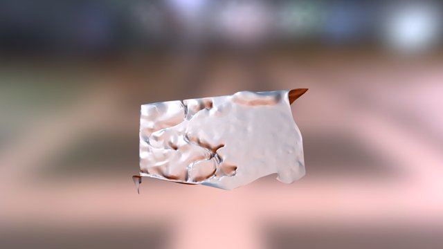 The Other Connah 3D Model