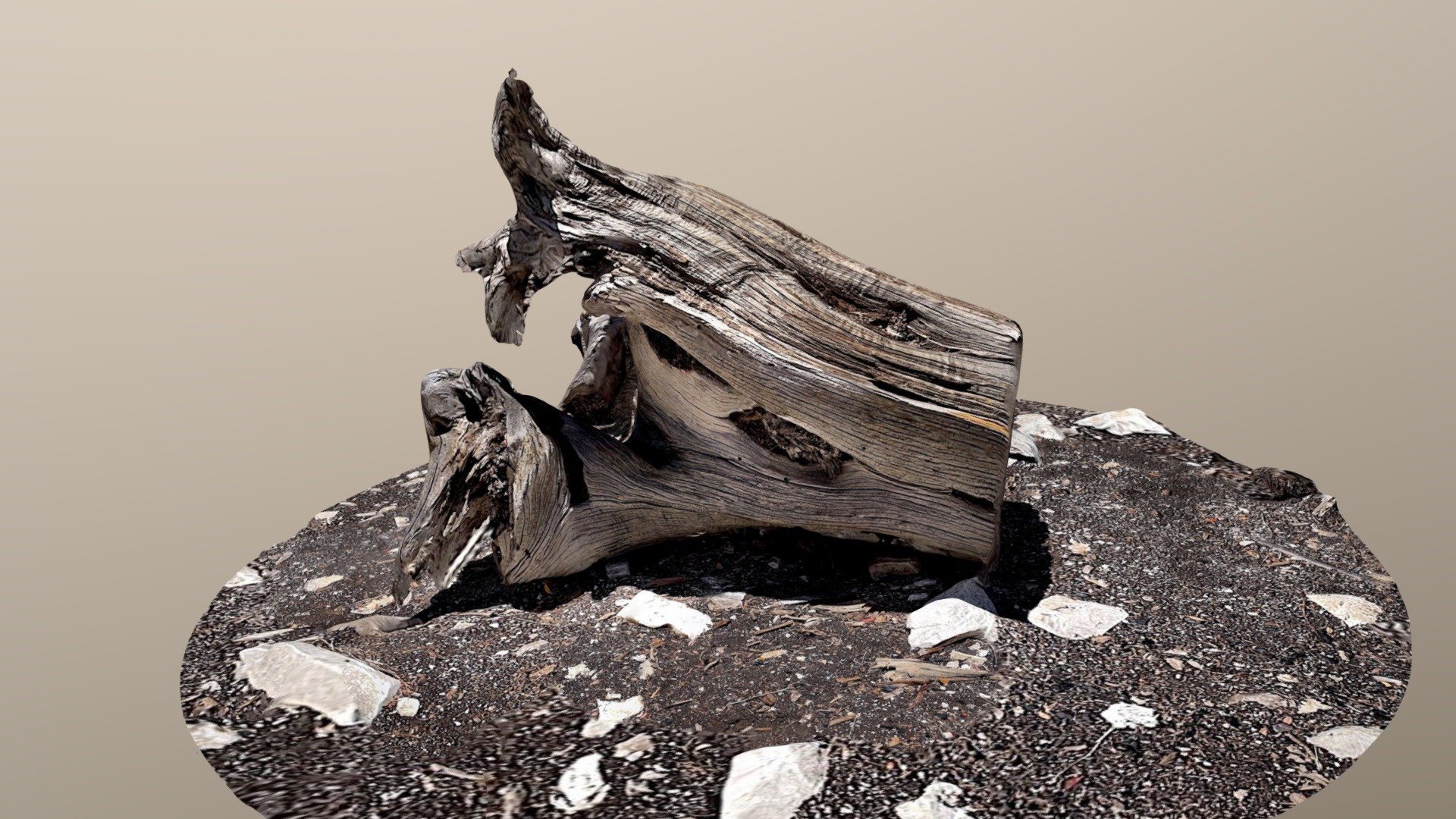 Overturned Stump