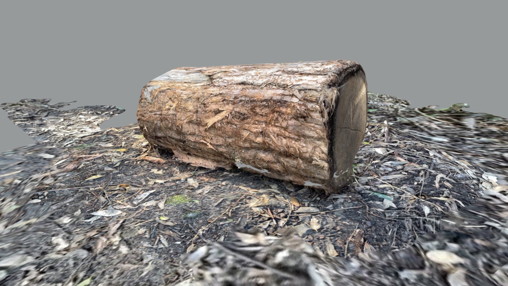 Sitting Wood