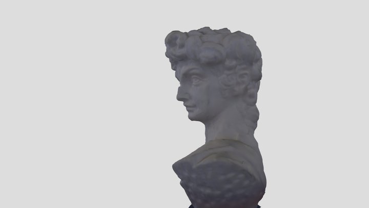 Bust_practice 3D Model