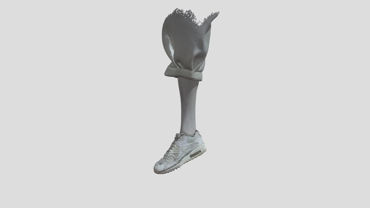 5_leg 3D Model