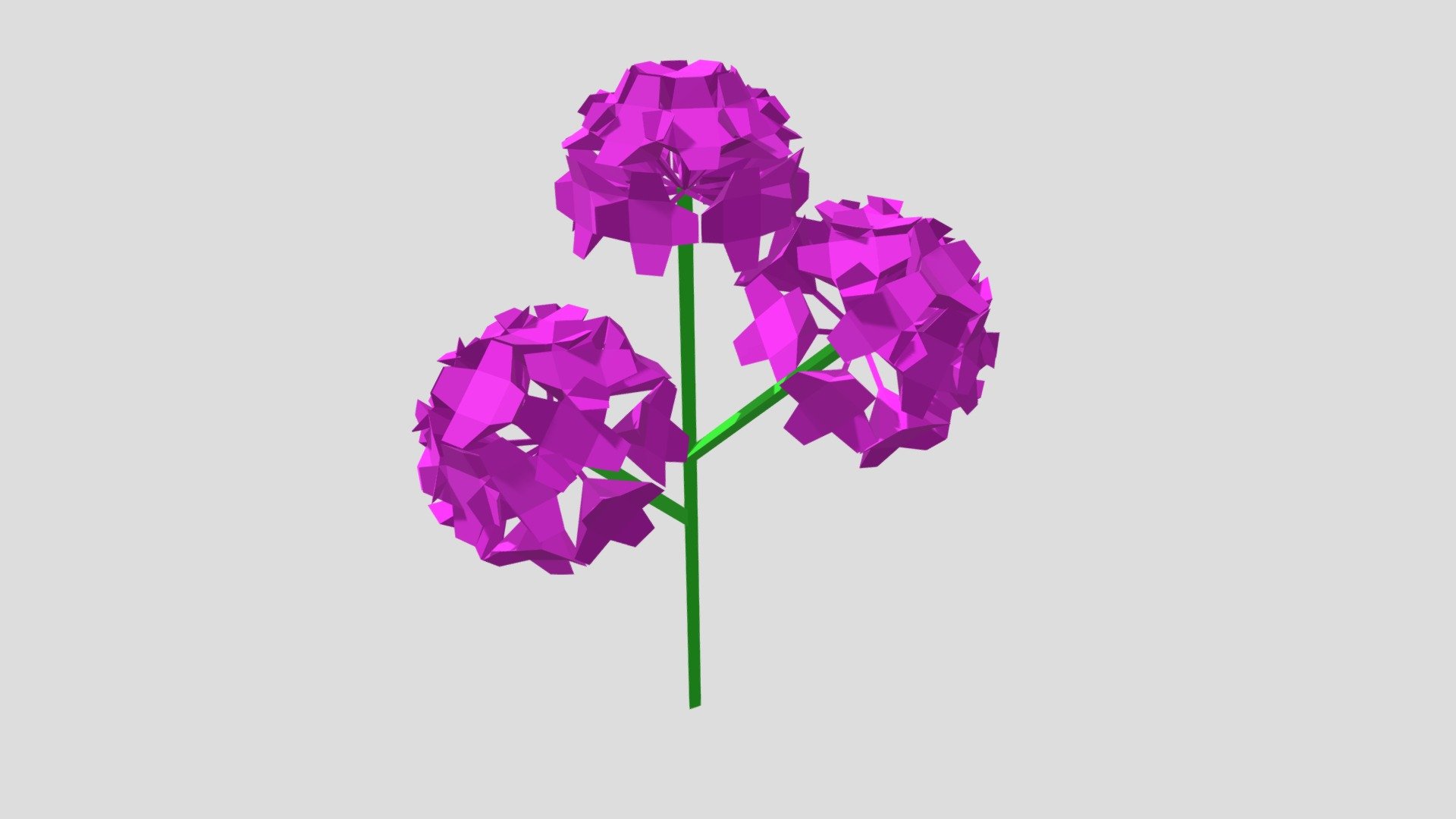 Vervain Low-Poly