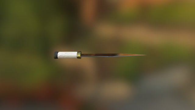 Wives Seax 3D Model