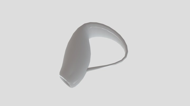 The Klein Flask 3D Model