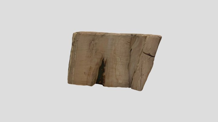 New Qlone 3D Model