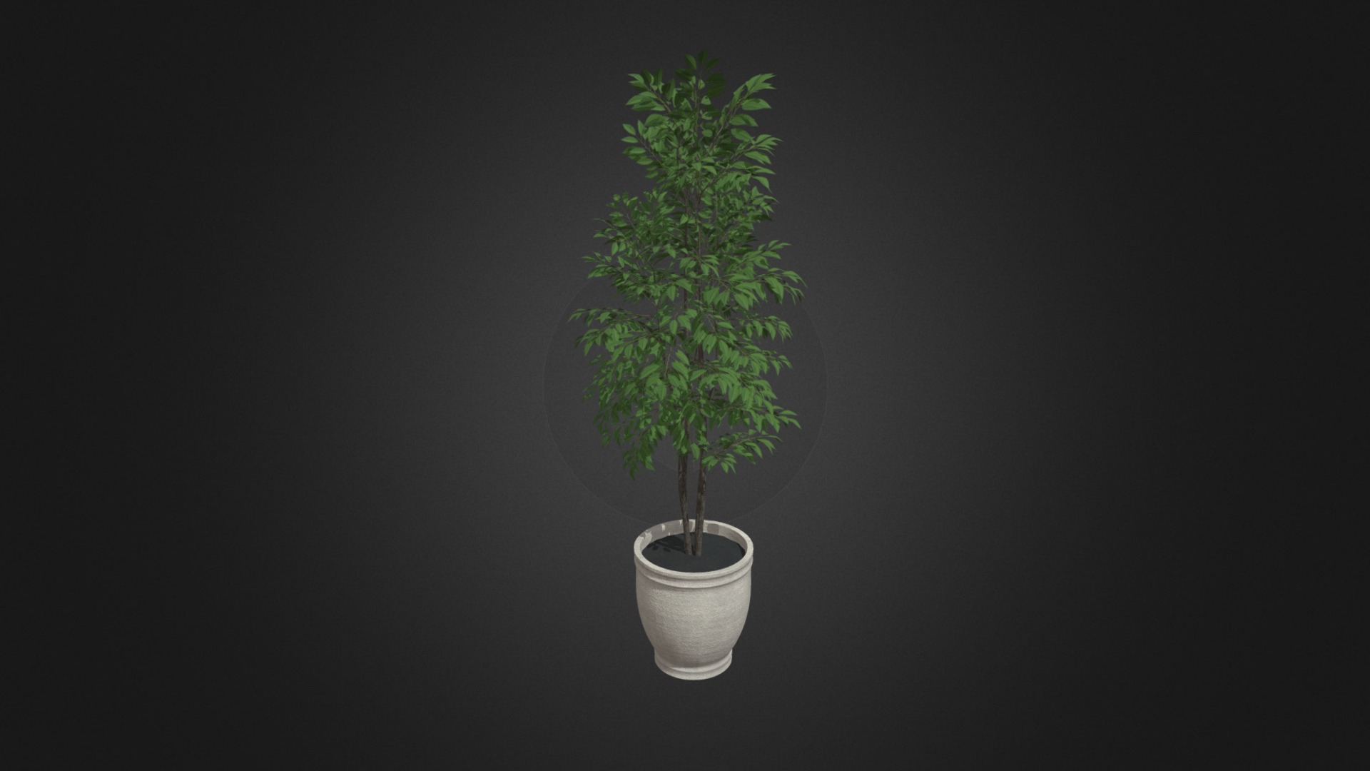 3D model Small Tree in Stone Pot - This is a 3D model of the Small Tree in Stone Pot. The 3D model is about a small tree in a pot.