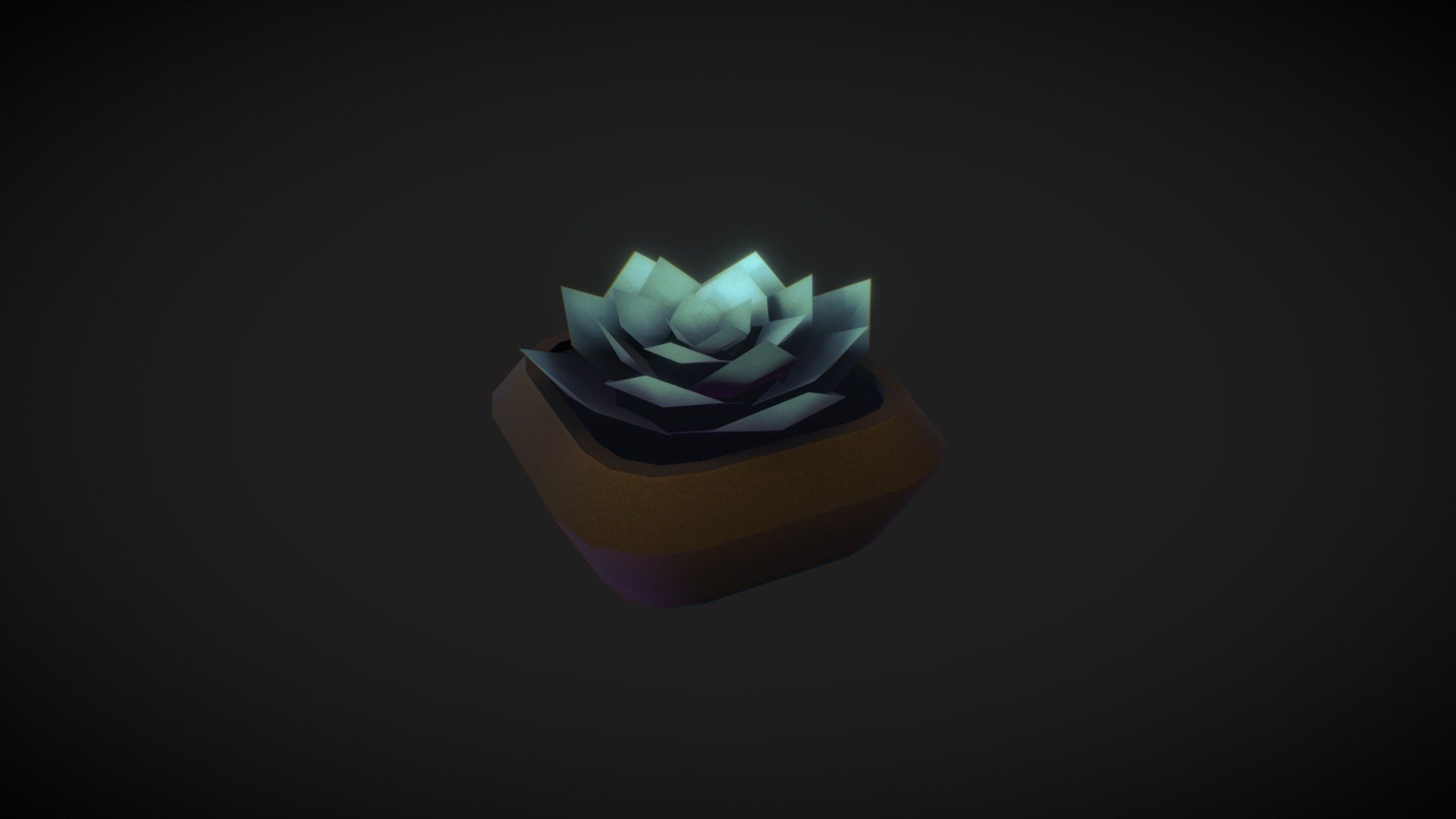 Potted Plant
