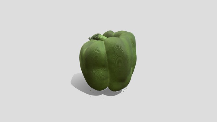 Bell Pepper X-ray CT Scan 3D Model