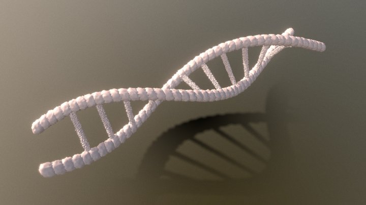 DNA 3D Model