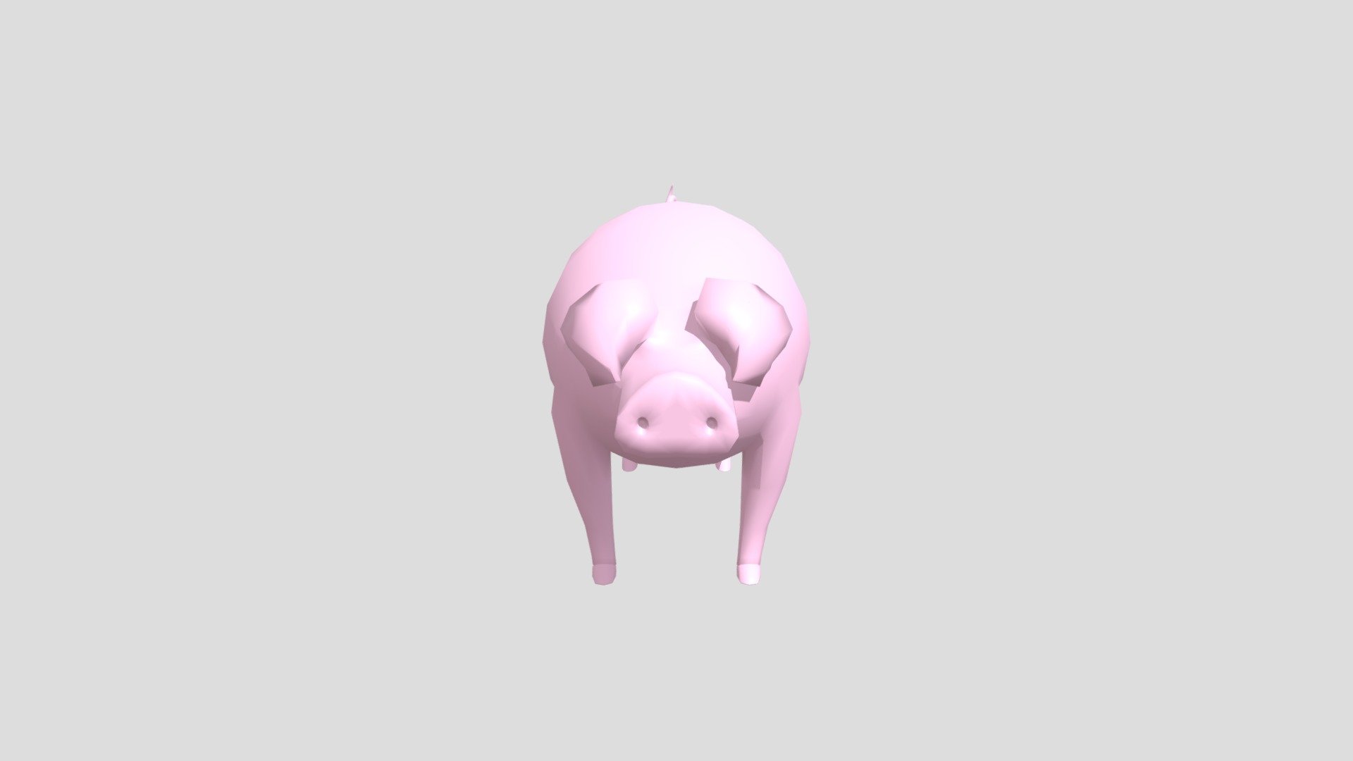Pig