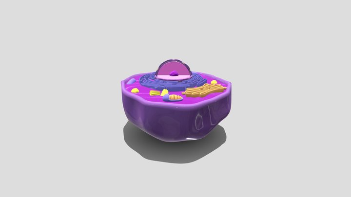 animalcellCOLOR 3D Model