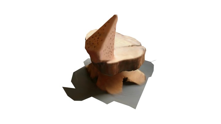 Wood Crystal by Bee Inc. scan by ASUS Zenfone AR 3D Model