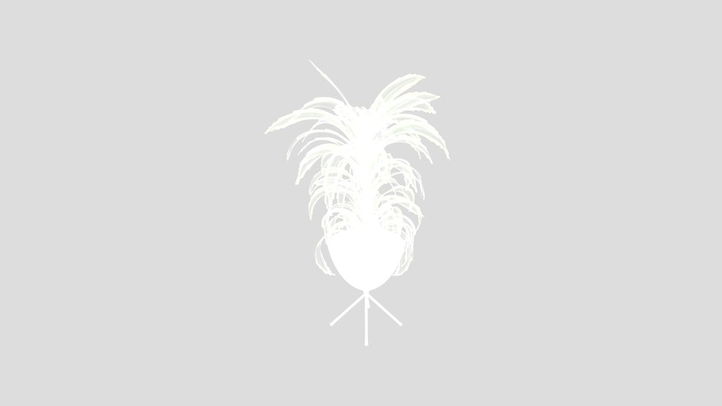 Dracaena Warneckii Lemon Lime Cane