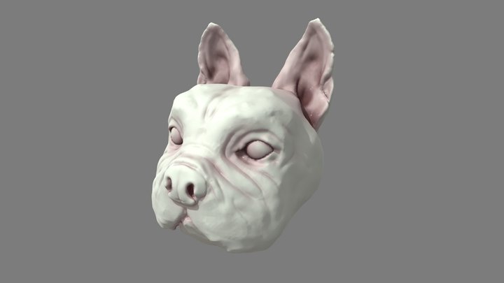 Frenchie Sculpt Messy Geometry 3D Model