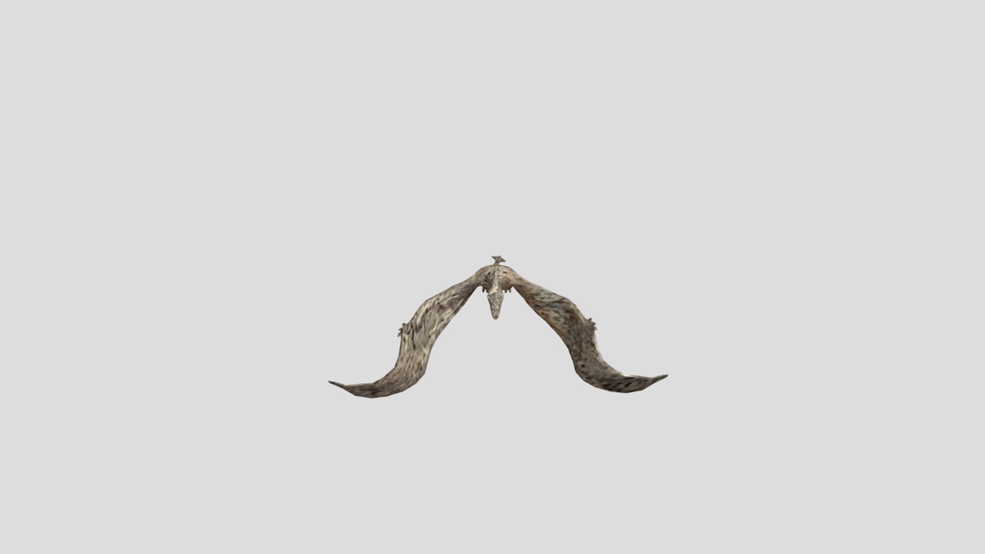 Pterodactyl+motions