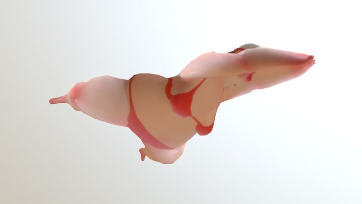 Salsa Swims | Breast Stroke 3D Model