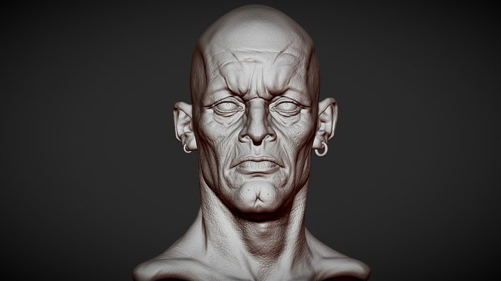 Head 4 from Heads Bundle 2 3D Model