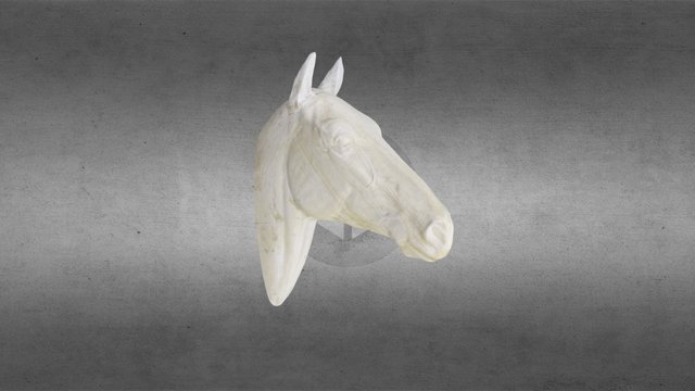 Horse 3D Model