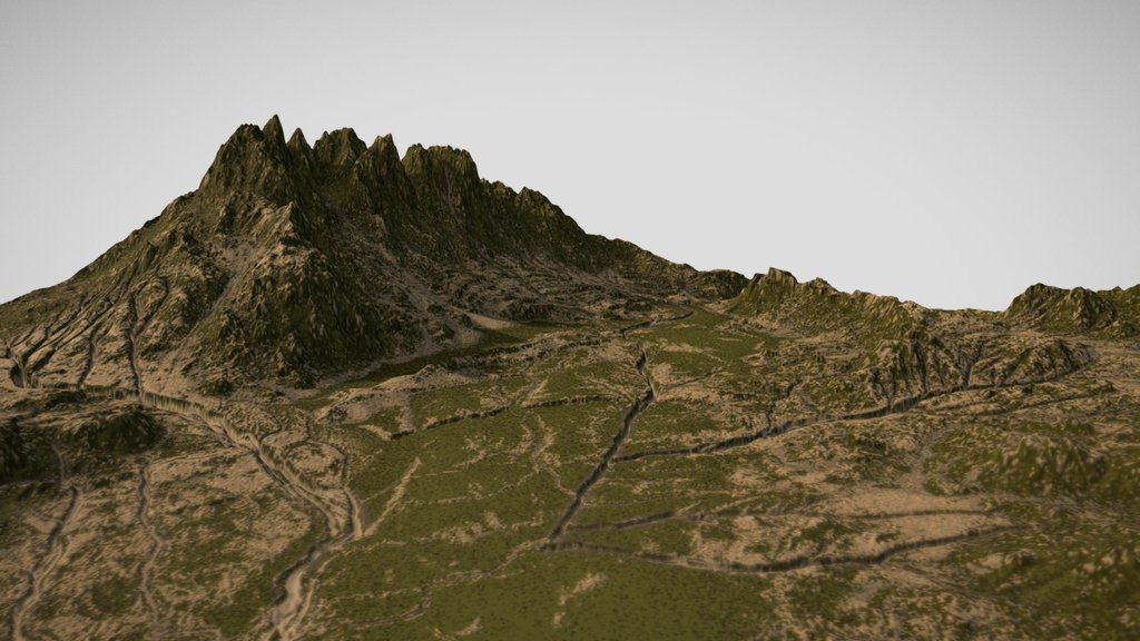 Mossy/Grassy Landscape