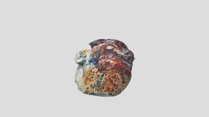 Arazyal 3D Model