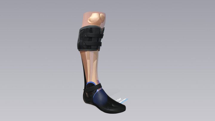 Liz Franc 3D Model