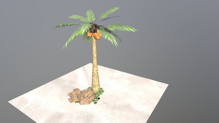 Yasi Fix 3D Model