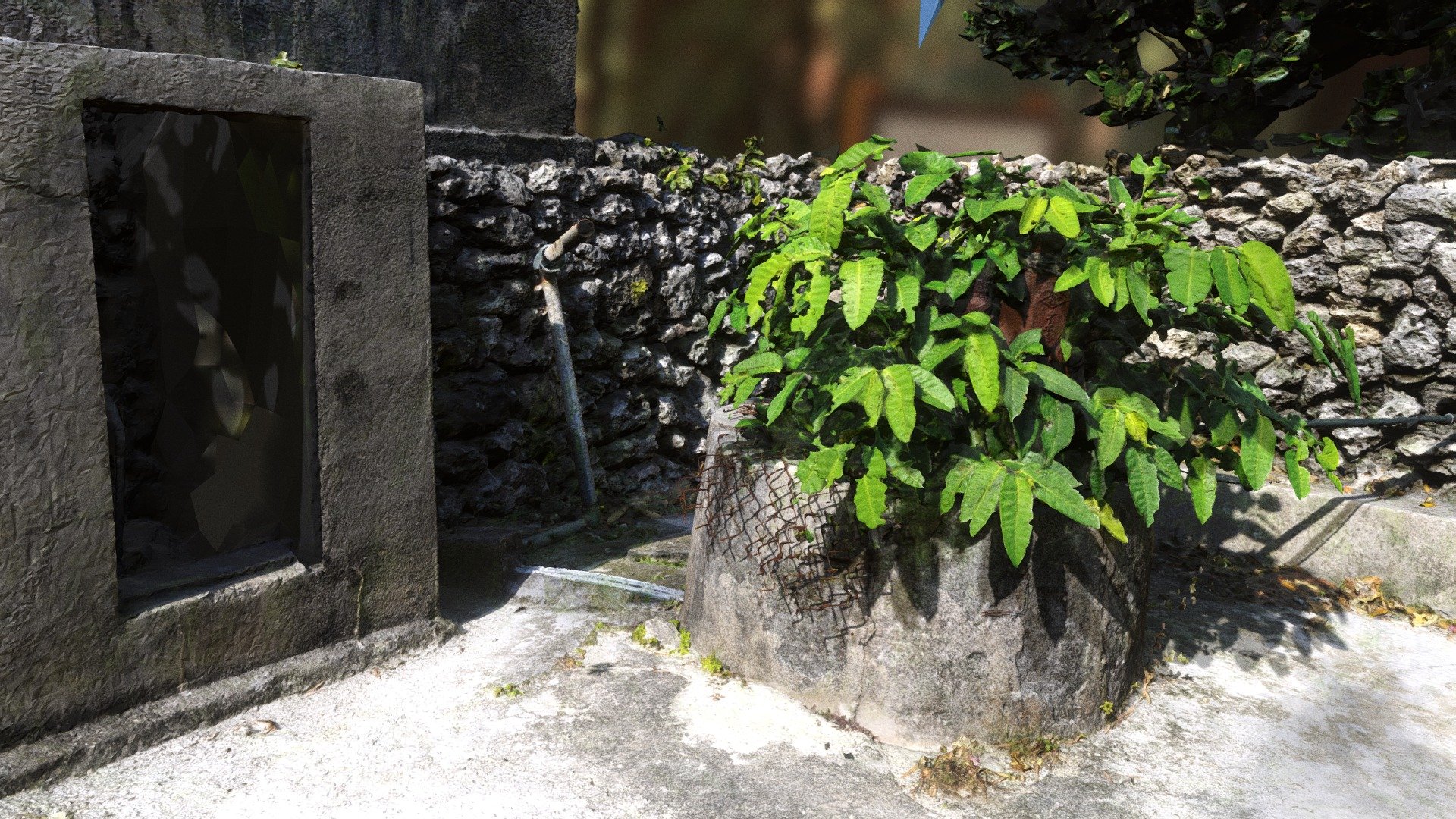 Taketomi Bonsai RC